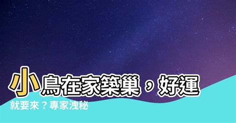 小鳥在家築巢|【鳥在家裡築巢】鳥兒築巢在自家！是福是禍？專家曝。